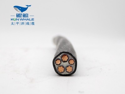 低煙無(wú)鹵電纜廠家為您介紹wdzn-yjy5×10電纜